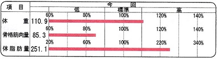 骨格筋肉量他―体格分析(2)