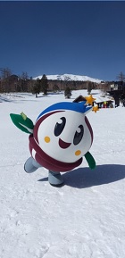 ゲレンデの状況―Ontake2240ホームページより