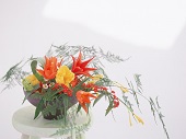 花のある生活―素材辞典１００巻パック