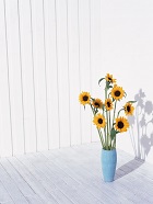 花のある生活―素材辞典１００巻パック