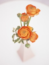 花のある生活―素材辞典１００巻パック