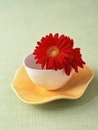 花のある生活―素材辞典１００巻パック