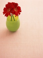 花のある生活―素材辞典１００巻パック