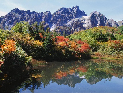 ２０１５年１１月―リラクゼーション！　徐かなること林の如く、動かざること山の如し。